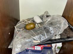 Ранее судимый житель Тореза хранил дома гранату в качестве сувенира