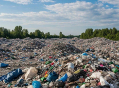 В ДНР полигоны с мусором оборудуют системами весового контроля