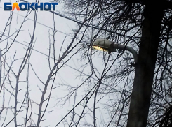 Лидиевка зажигает огни: в поселке Кировского района Донецка восстановили освещение