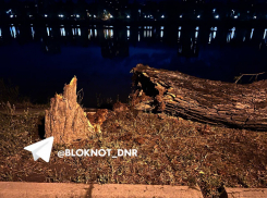 Практически без ив осталась Набережная Кальмиуса в Донецке: о последствиях свирепого урагана в ДНР