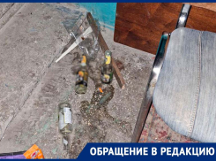 Дом в центре Донецка превратился в помойку, его атакуют полчища крыс, УК бездействует