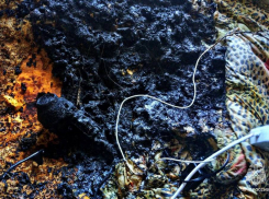 В Горловке госпитализировали подростка из-за сгоревшего фена