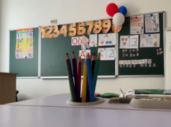 Новоалексеевская школа в ДНР потрясла родителей новым интерьером