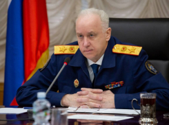 Главный следователь России взял на личный контроль уголовное дело по факту гибели девочки в Макеевке 