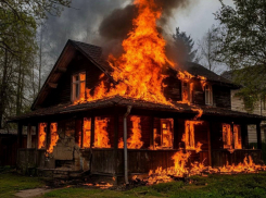 С 7 по 13 апреля подразделения МЧС России потушили 81 пожар в ДНР