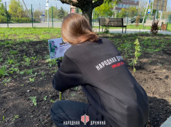 В Волновахе, ДНР, высадили аллею памяти в честь 80-летию Победы