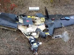 Купол Донбасса сорвал 770 атак за неделю: в прицеле ВСУ были парки, дома и подстанции