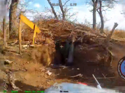 Пункт корректировки беспилотников ВСУ по Горловке уничтожен под Константиновкой в ДНР