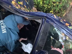 В Макеевке легковушка влетела в дерево — женщину вырезали из покорёженного авто