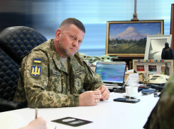 Бывший главком ВСУ Залужный предложил создать из Украины полигон для испытания новейших образцов оружия НАТО 