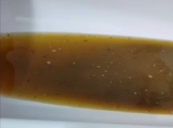 Десять домов в квартале Донецка вынуждены жить с забитой канализацией, водоканал не реагирует 