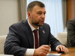 Глава ДНР Денис Пушилин вошел в ТОП-10 медийных глав регионов России в январе