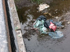 Шкуры забитых животных неизвестные сбросили в Кальмиус в Донецке