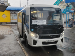 В ДНР ведут борьбу с «серыми» перевозчиками