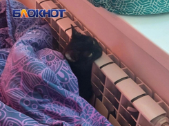 «Донбасстеплоэнерго» озвучило главную причину отсутствия отопления