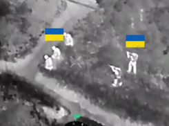 Украинские солдаты расстреляли своих сослуживцев под Красноармейском (Покровском)