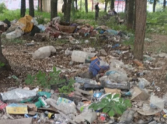 Второй месяц на Бирюзова в Донецке разрастается свалка в парковой зоне