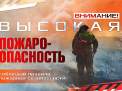 В ДНР объявлена высокая пожароопасность до 6 августа
