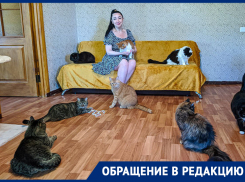 У сотрудницы библиотеки в Донецке отняли крышу над головой в пользу муниципалитета без объяснения причин