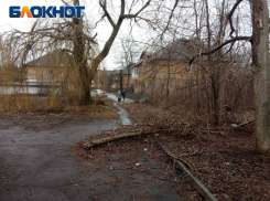 Последствия зимней стихии не убрали с донецких улиц