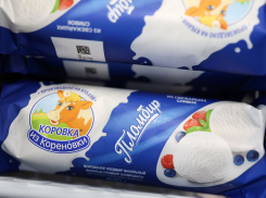 Сальмонеллу нашли в продукции «Коровки из Кореновки»