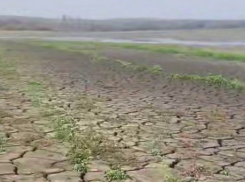 Экологическая катастрофа: в ДНР полностью пересох пресный водоем, питающий три крупных города