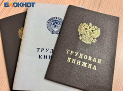 Ярмарка трудоустройства в ДНР: более 15 тысяч вакансий и фестиваль профессий