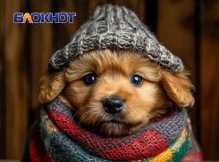 За 4 дня еще в 708 домах ДНР стало тепло 