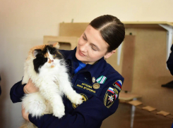 Волонтеры из ДНР оберегают пушистых друзей от чрезвычайных ситуаций