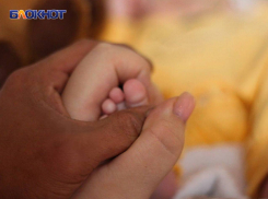 Жителям ДНР рассказали, как оформить СНИЛС для новорожденного