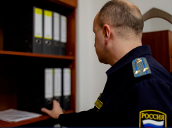 В ДНР взыскали более 14 миллионов рублей с предприятия-должника