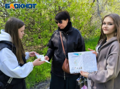 Молодежь продолжает бороться за парк в Азотном микрорайоне Донецка 