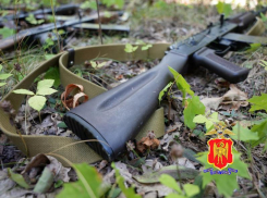 В ДНР завели 244 уголовных дела за незаконное хранение оружия и боеприпасов