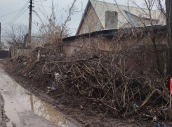 Свалка с 2019 года и дорога в грязи: жители улицы Мичуринской в Донецке просят убрать мусор
