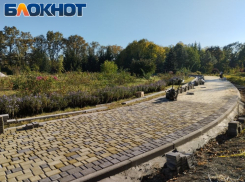 Последние теплые дни: прогулки и ремонт в ботсаду Донецка 