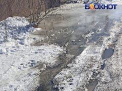 Жители Макеевки утопают в фекальной массе, разлитой под окнами прокуратуры