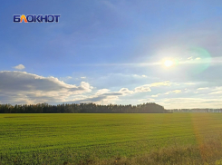 Заморозки, засуха и жара: как аграриям ДНР удалось сохранить урожай в 2024 году