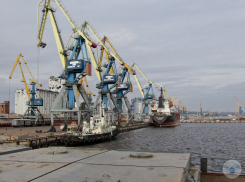 Из порта Мариуполя отправилось 4400 тонн пшеницы 
