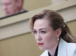 Сенатор от ДНР сообщила, что за долги по зарплате теперь будет насчитываться пеня 