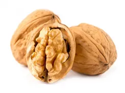 Донецкие аграрии готовятся к цветению грецкого ореха