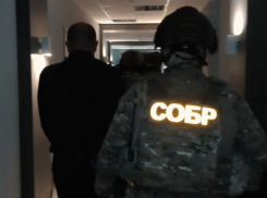 Руководителя промышленного объекта задержали в ДНР за дачу взятки замначальнику полиции