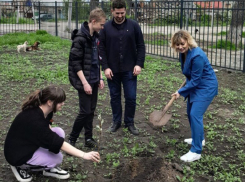 Ученики Мариупольской школы поддержали Международную акцию и высадили «Сад памяти»