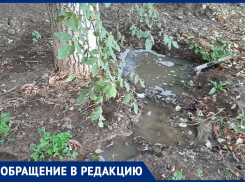 «Уличная колонка» по-донецки: на улице Кирова из-под земли бьет гейзер. И не только там