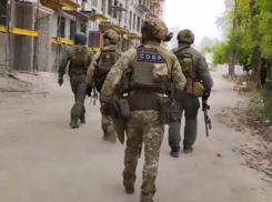 Мигрантов незаконно пребывающих в РФ задержали в Тельмановском районе и Мариуполе