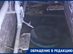 Бассейн в подвале: дом по улице Рудакова в Горловке заливает водой уже полгода