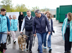 Остановить домашнее насилие, спасти животных, помочь матерям — топ-3 инициативы «Новых людей» для Донецка
