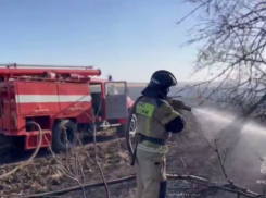 Пожарные спасли лес от огня в ДНР