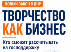 Самозанятые, дизайнеры и IT-специалисты в ДНР смогут получить господдержку