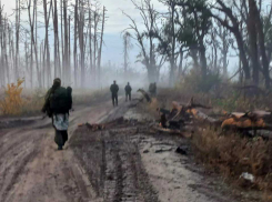 Добропольский «котел» ВС РФ стал могилой для бойцов ВСУ