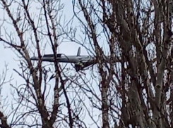 Более двухсот БПЛА было уничтожено в небе ДНР за минувшую неделю 